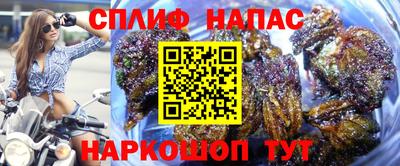 мяу мяу мука Бузулук