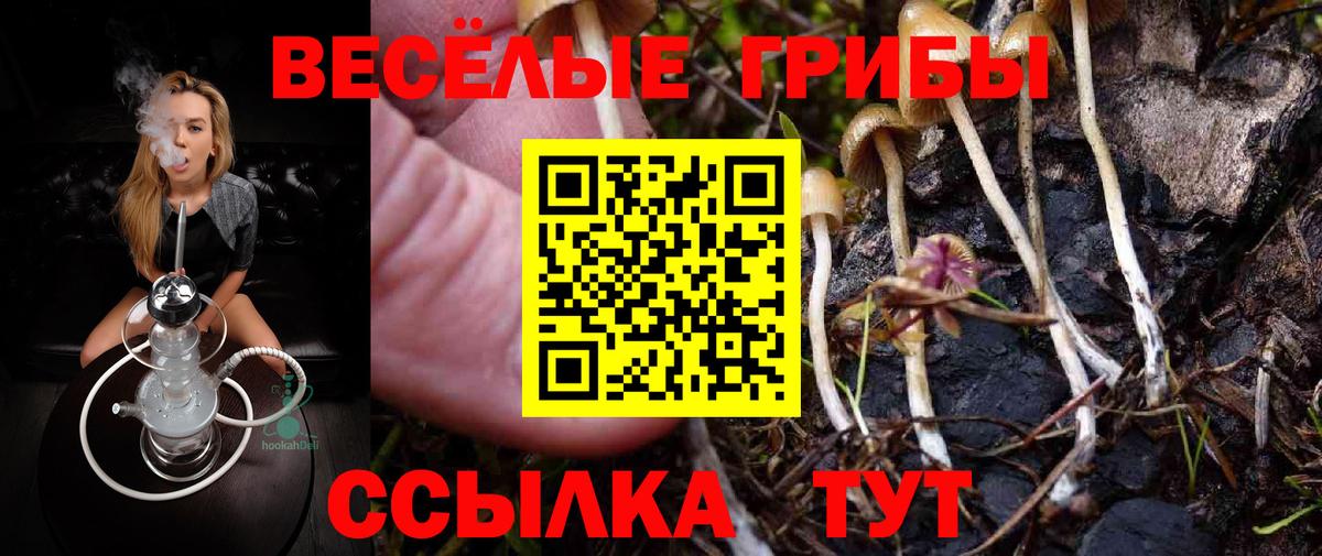 наркотики  Галлюциногенные грибы ЛСД  Галлюциногенные грибы MAGIC MUSHROOMS  Вход с VPN  Краснотурьинск 